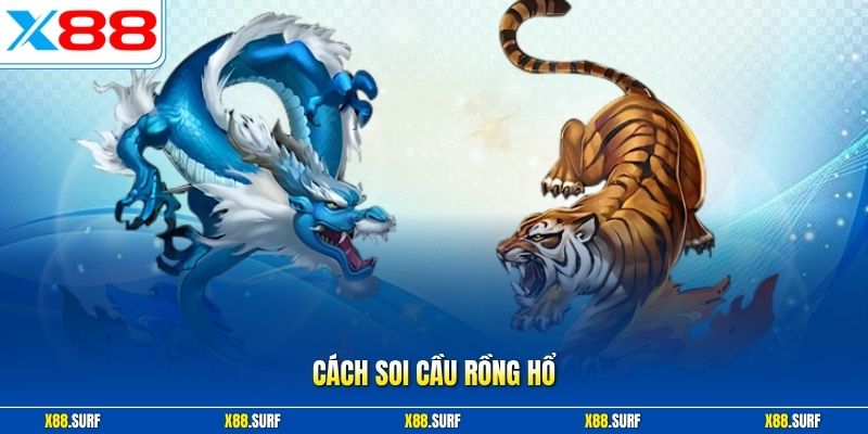 Cách soi cầu Rồng Hổ